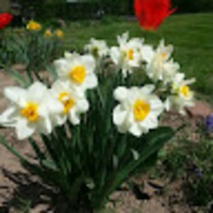 Meet your Posher, Jodi